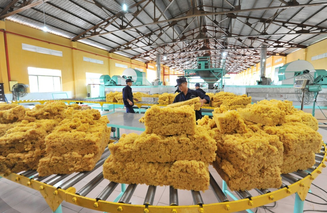 Giá trị xuất khẩu cao su tăng trên 17%, Trung Quốc vẫn là thị trường tiêu thụ lớn nhất của Việt Nam